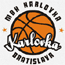 https://img.walling.cn/img/basketball/team/0c2f73d2ab7041cf90029a20deff7f17.gif